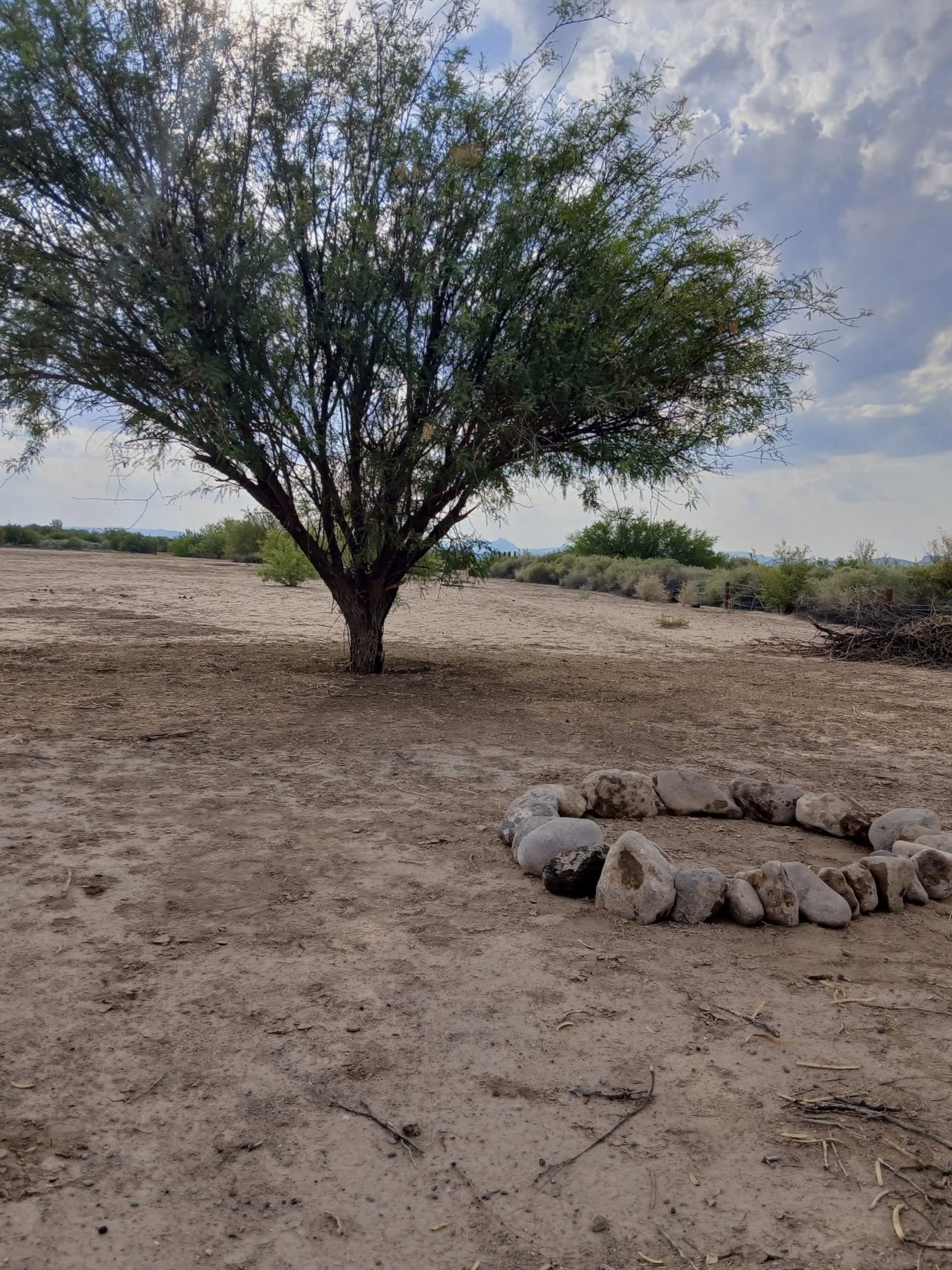 Open desert ground with a lone tree and a stone-lined fire ring at the RV park
